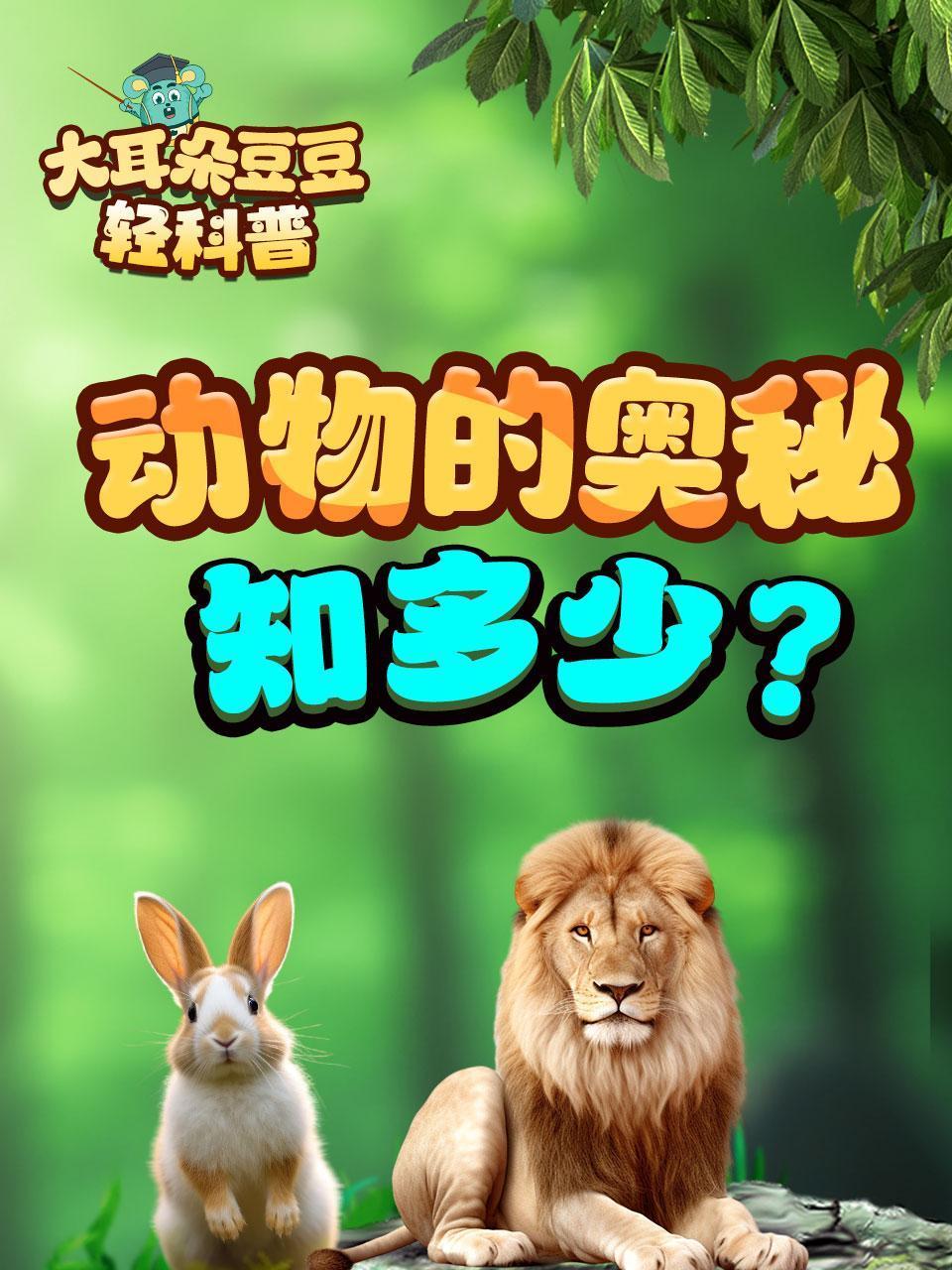 大耳朵豆豆轻科普动物的奥秘知多少