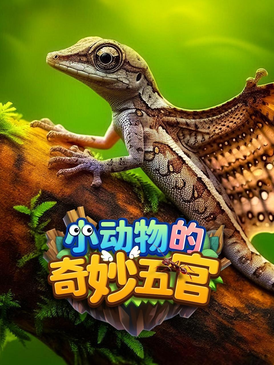 小动物的奇妙五官