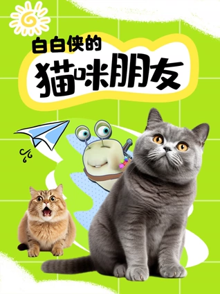 白白侠的猫咪朋友
