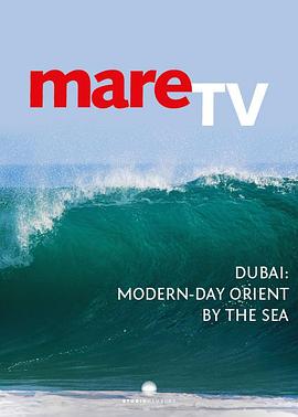 精灵宝可梦：酋雷姆VS圣剑士凯尔迪奥