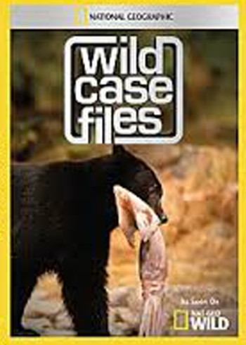 大自然神秘档案2